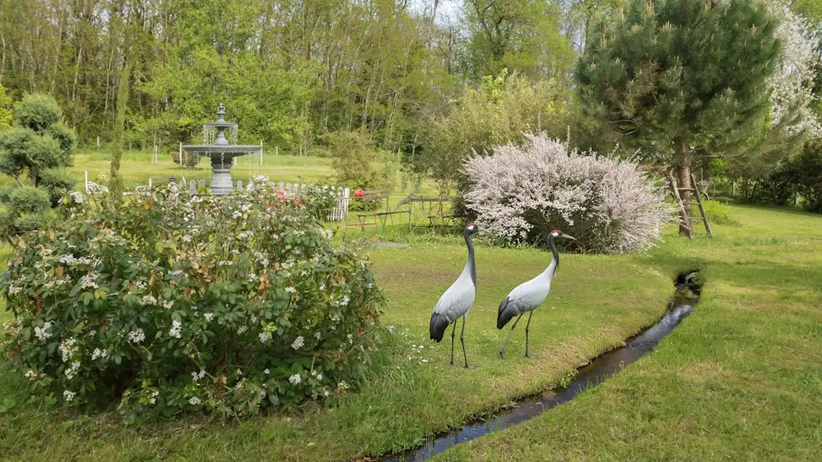 Attirer les oiseaux dans son jardin, saison après saison