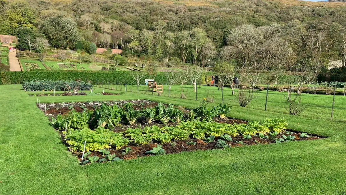 Un petit coin de potager facile, même sans expérience