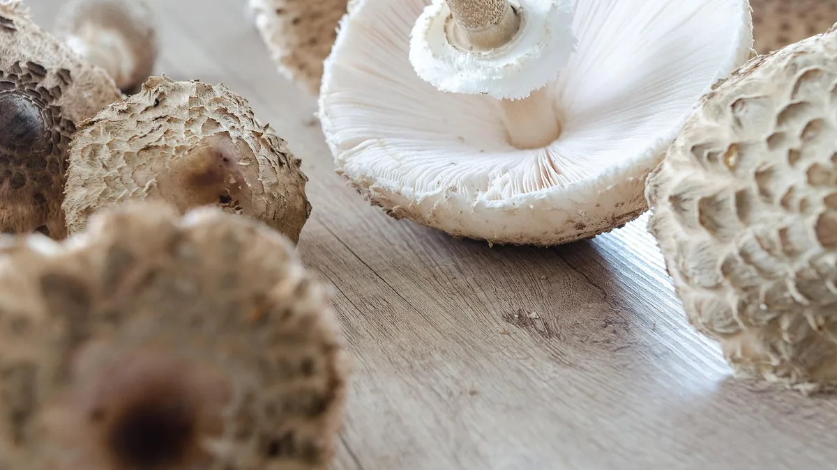Idée recette automne