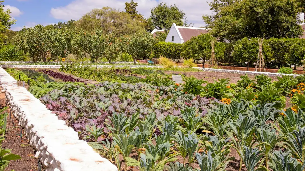 Plan d'aménagement d'un jardin potager